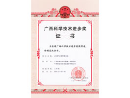 【科技類】科技進(jìn)步三等獎(jiǎng)證書(shū)(DRP)